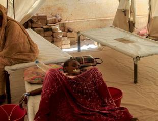 Highest number of conflicts worldwide in 2024 since 1946: Study