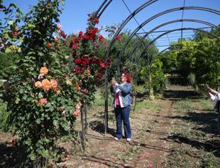 Edirne’s ‘scent tunnel’ offers journey through fragrant blooms