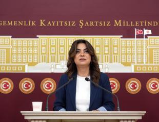 DEM Party urges peace commission before parliament recess