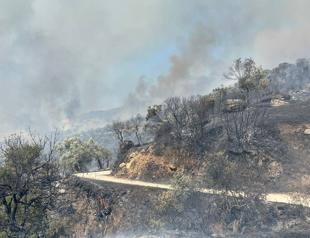 Türkiye enters high-risk wildfire season as flames ravage Aydın