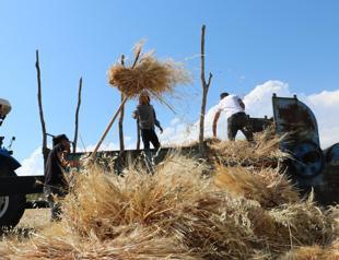 Sweeping agricultural census to commence in July
