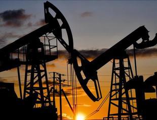 Africa open to energy cooperation with Türkiye: APPO head