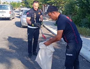 Snake sightings on rise in Istanbul as experts urge calm