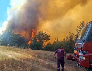 Türkiye battles several wildfires as heatwave fuels rapid spread