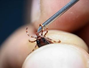 Türkiye sees rise in tick-borne virus deaths as vaccine development advances