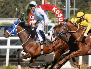 Gazi Race once again blends rivalry, elegance in 99th edition