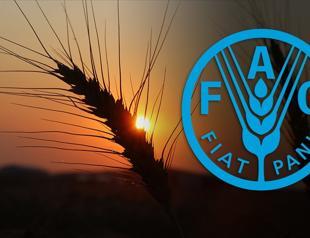 Türkiye secures seat on FAO council for 2025-2028