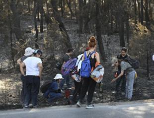 Volunteers save injured animals among ashes after İzmir wildfires