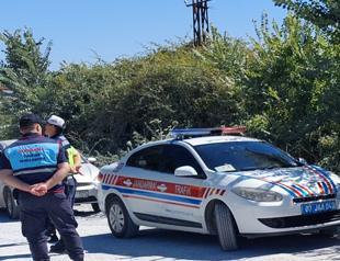 Lion escapes wildlife park, injures local man