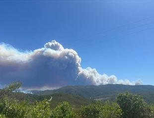 Türkiye sends assistance to Syria amid wildfires