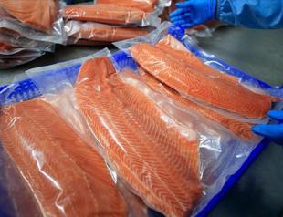 Salmon export reaches $217 million in first half of 2025