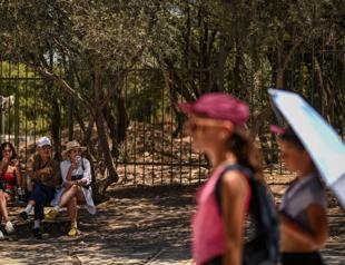 Climate change made European heatwave up to 4C hotter: study