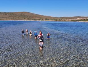 Nature enthusiasts ‘walk’ through islands in rare event