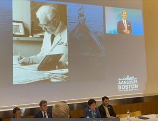 Sulcus in human brain named after renowned neurosurgeon Yaşargil