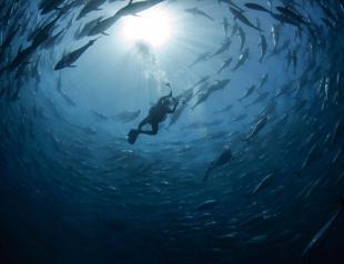 Turkish fishermen battle waves to deliver tuna to Aegean