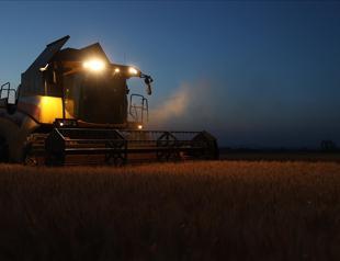 Farmers in Thrace turn to nighttime wheat harvests amid extreme heat
