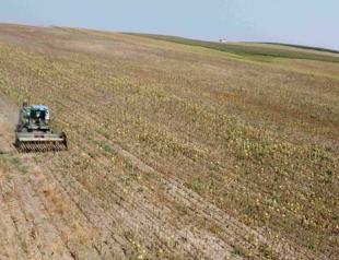 Farmers struggle amid most severe drought in 65 years