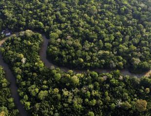 Brazil scrambles for rooms to host COP30 in Amazon