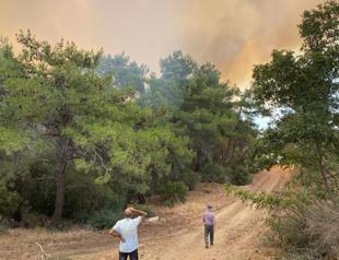 Türkiye scorched by extreme heat as wildfire threat intensifies