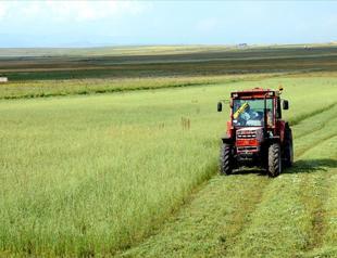 Agricultural input prices rose sharply in May: TÜİK data