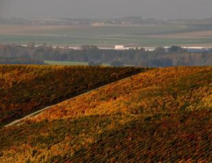 France jails 3 in champagne human trafficking case