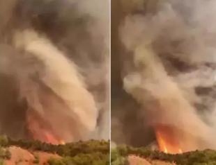 Fire whirl captured amid raging blaze in northwestern Türkiye