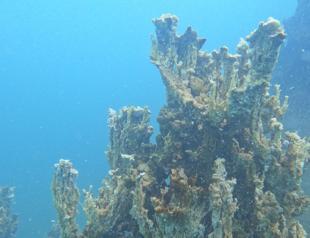 70-meter microbiolite discovered in Lake Van’s depths