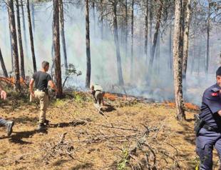 Wildfire kills 10 workers battling blaze in Eskişehir