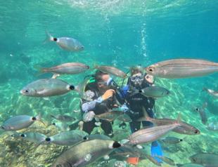 Growing domestic interest keeps Marmaris dive tourism afloat