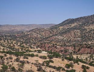 Moroccan King renews call for dialogue with Algeria