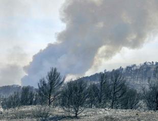 One dead in wildfire in southern France