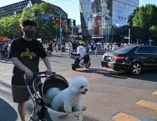 China’s consumer prices stable in July, providing some respite