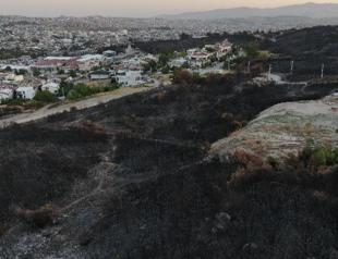 Wildfires sweep western Türkiye, ravaging thousands of hectares