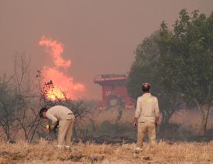 Çanakkale forest blaze closes key heritage site