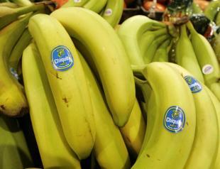Panama hopes to secure return of US banana giant Chiquita