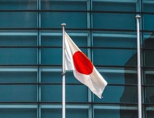 Japan, African nations vow to cooperate on critical minerals, economic security