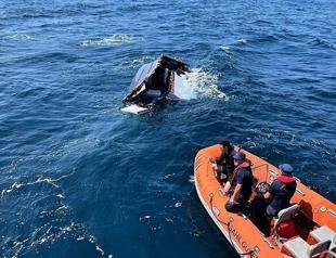 Turkish businessman found dead 19 days after yacht collision