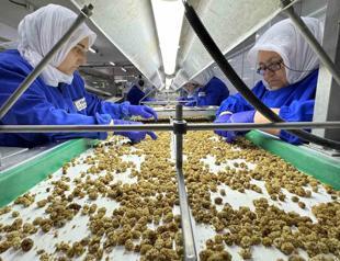 Organic products generate over 1 billion euros in exports