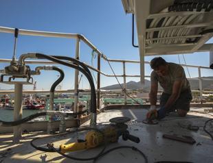 Fishing season to open with historic anchovy prospects, bonito shortage