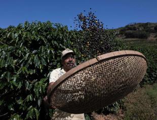 Brazil mulls reprisals for 50 pct Trump tariffs: govt sources