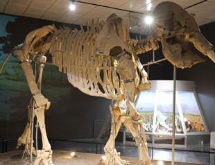 Kahramanmaraş Museum reopens after earthquake restoration