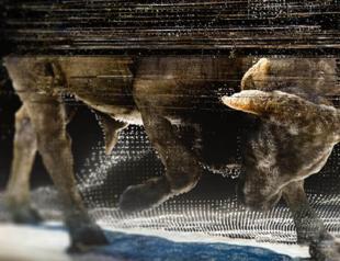 Istanbul to host global media art festival Ars Electronica in October