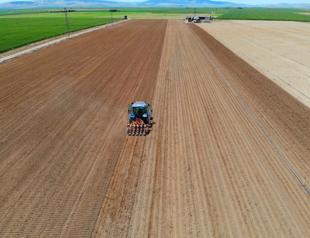 First leasing of unused farmland to begin in November