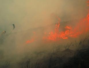 Wildfires producing witches brew of air pollution: UN