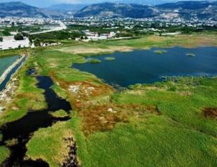 Hatay’s Milleyha wetland declared natural conservation site