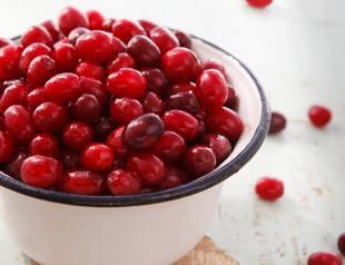 Cornelian cherry: Not a cranberry