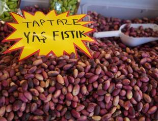 Frost, drought slash pistachio yield by 80 pct