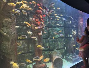 Antalya Aquarium draws foreign tourists
