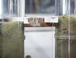 Preliminary data mark Türkiye’s first historical pollution record of Marmara