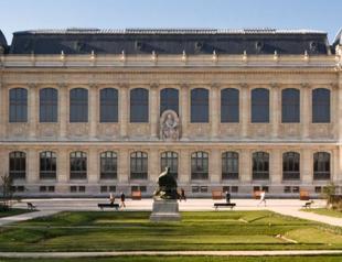 Gold worth 600,000 euros stolen in Paris museum heist